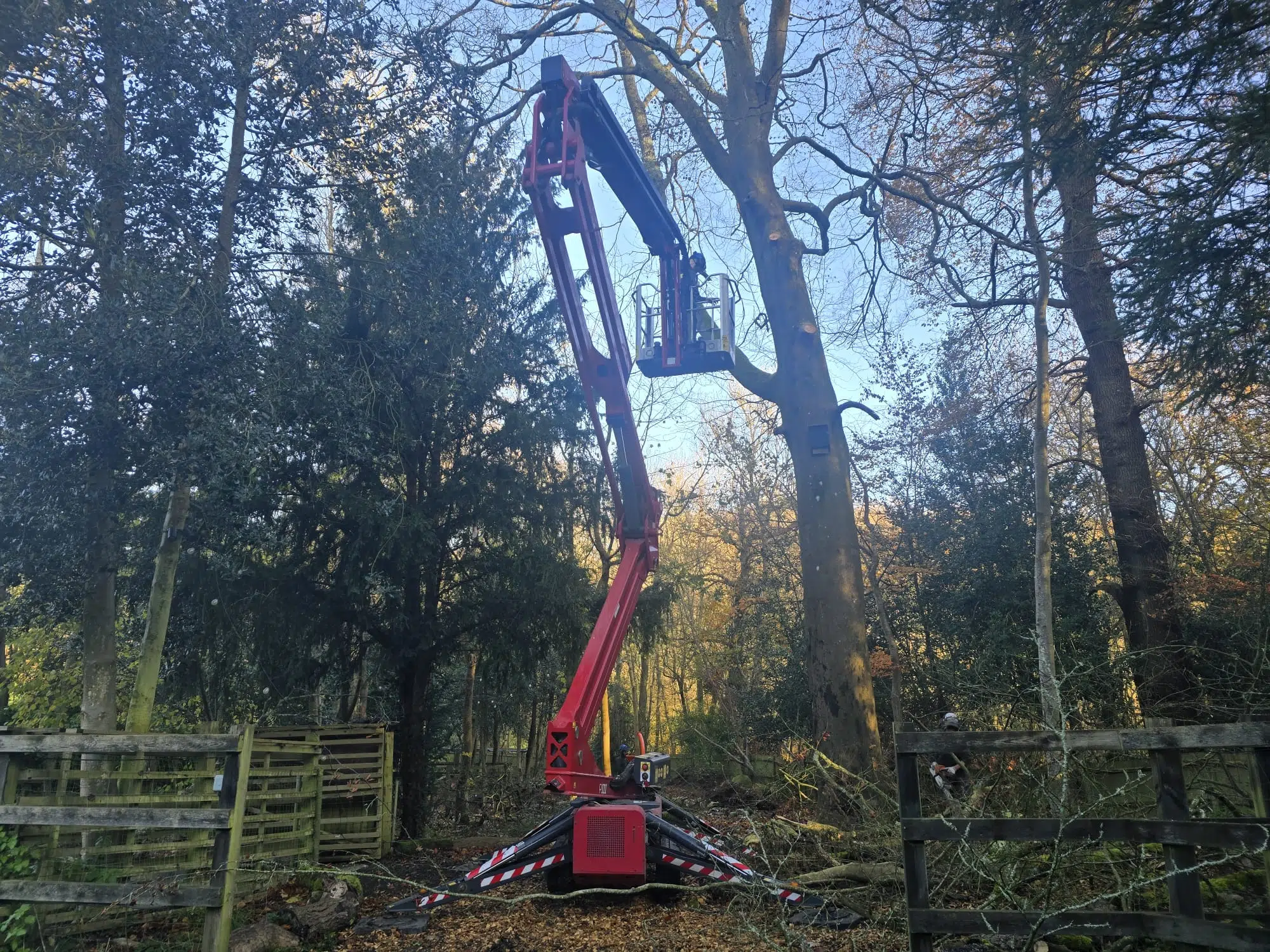Beech Mono Lift Before Beech Mono Lift Before