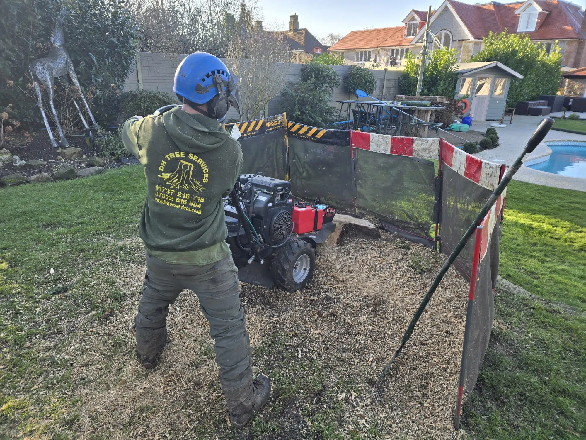 Conifer Stump Grind Conifer Stump Grind