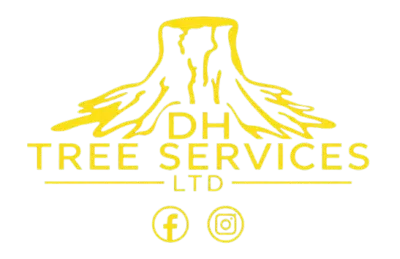 Dh Tree Services Ltd