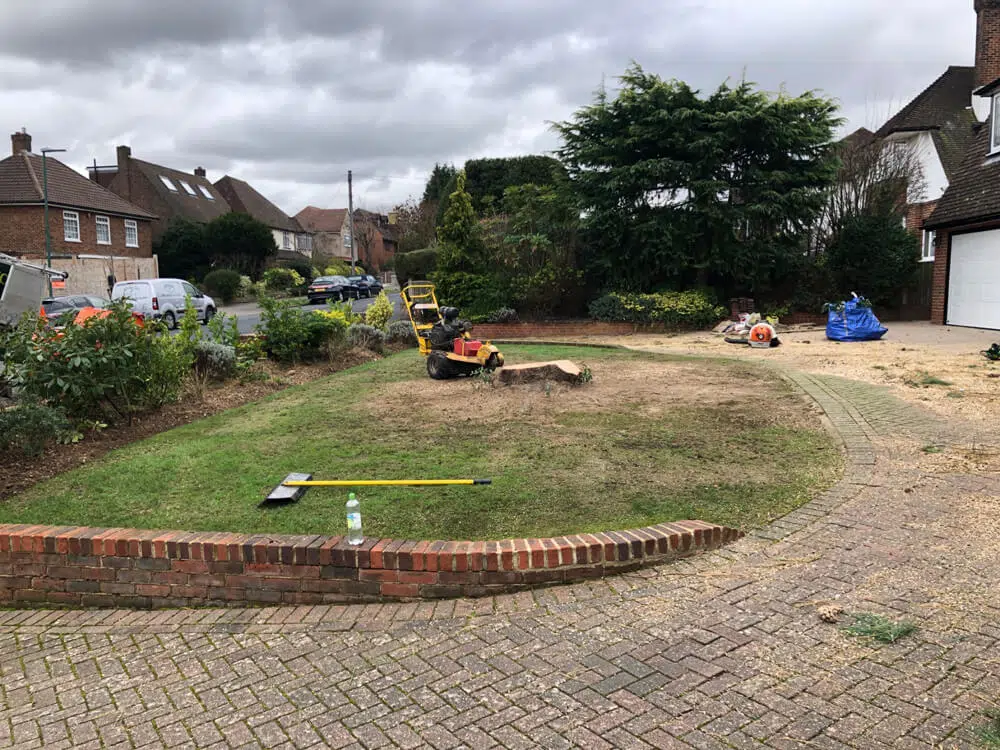 Dh Tree Services Safe Tree Removal Methods Dh Tree Services Safe Tree Removal Methods
