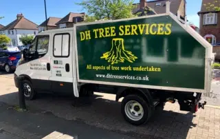 Expert Tree Surgeons in Holmwood Tree surgeons in Holmwood