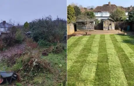 Garden Clearance In Surrey Garden Clearance In Surrey