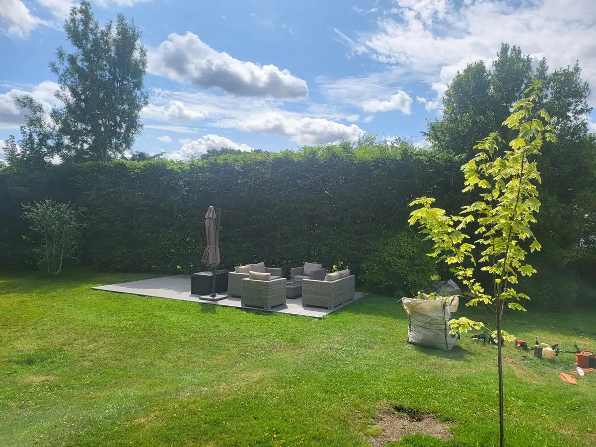 Hedge Trimming & Pruning Services - Reliable Surrey Specialists