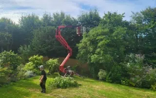 Hedge Trimming Hedge Trimming