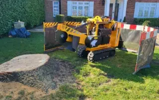 Stump Grinding Stump Grinding
