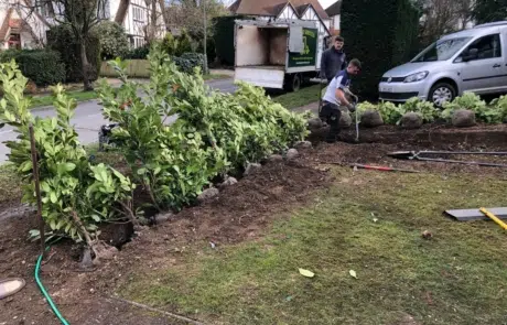 Tree Planting Croydon3