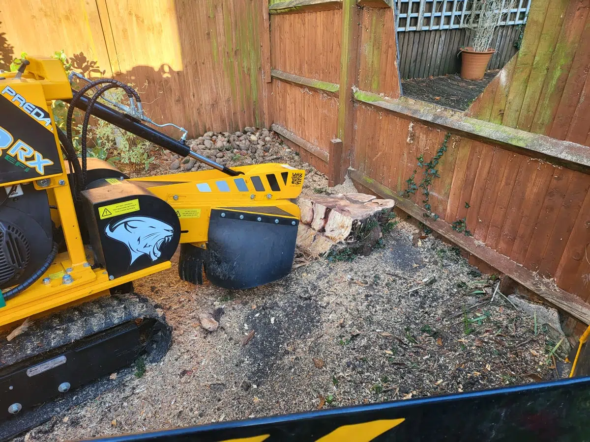 Expert Tree Surgeon in Edenbridge tree surgeon in Edenbridge