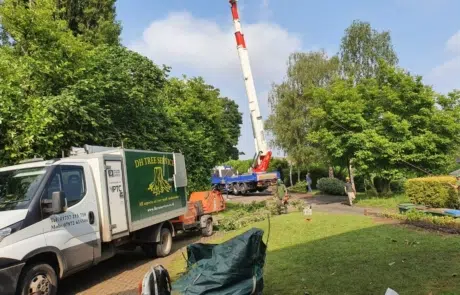 Tree Surgeons Newdigate 5 Tree Surgeons Newdigate 5