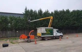 Tree Surgery Redhill2 Tree Surgery Redhill2
